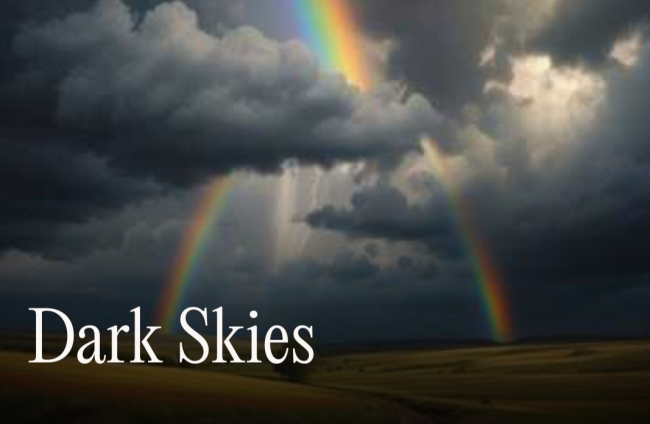 Banner - 3296 -Dark Skies